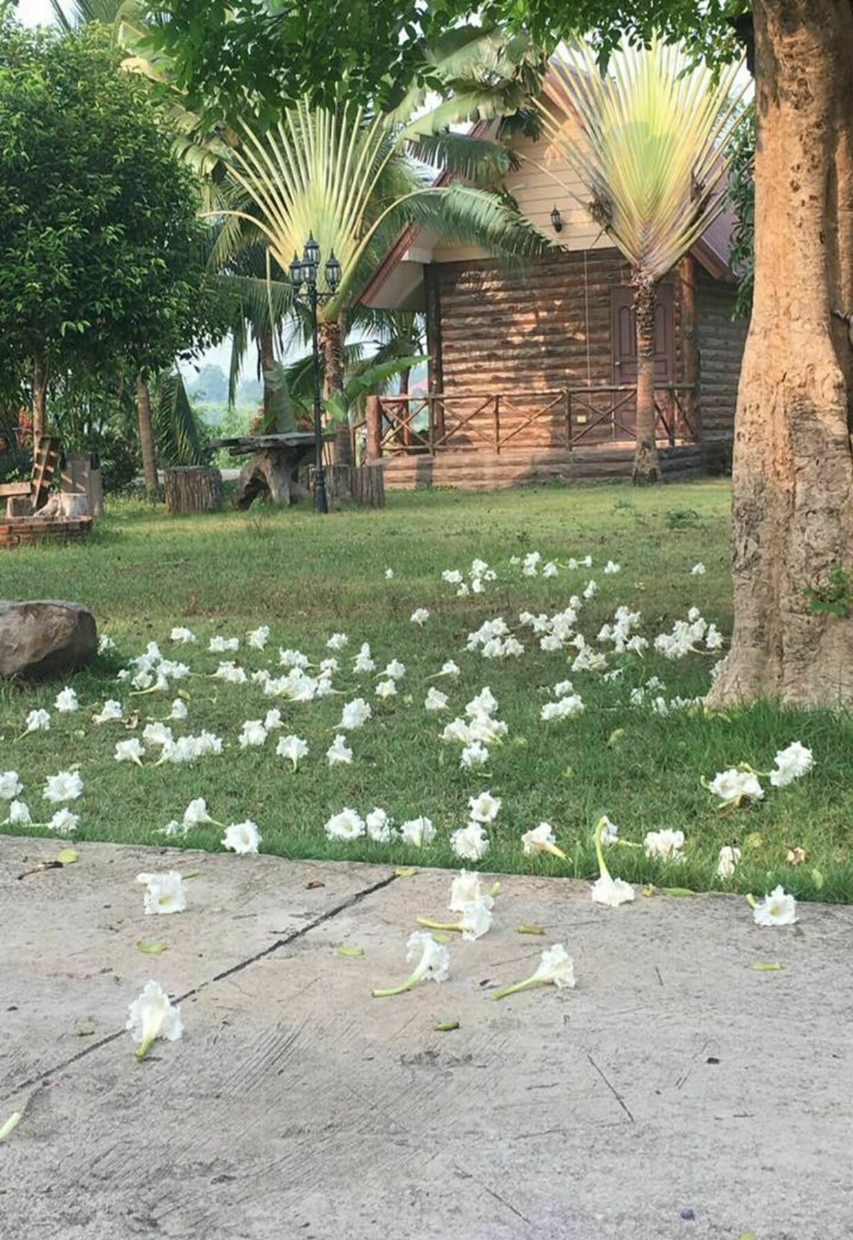 Bansuan Chomdao Resort Khon Kaen Bagian luar foto
